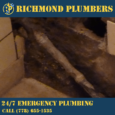 Emergency Plumbing Vancouver – 24/7 Fast & Reliable Plumbers Near You